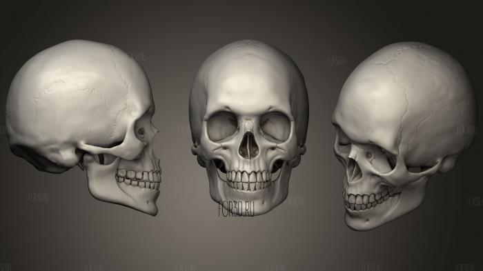 skulls pack 1 stl model for CNC